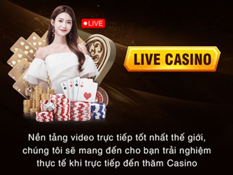 Sự Kiện Giáng Sinh An Lành 2024