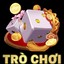 Chuẩn bị thông tin